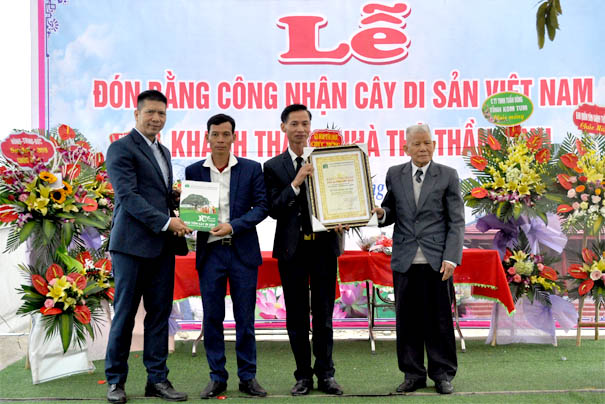 Cây[-]đầu[-]tiên[-]tại[-]huyện[-]Gia[-]Lộc[-]được[-]công[-]nhận[-]Cây[-]Di[-]sản[-]Việt[-]Nam